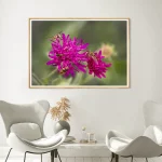 hover flies on Scabiosa frame