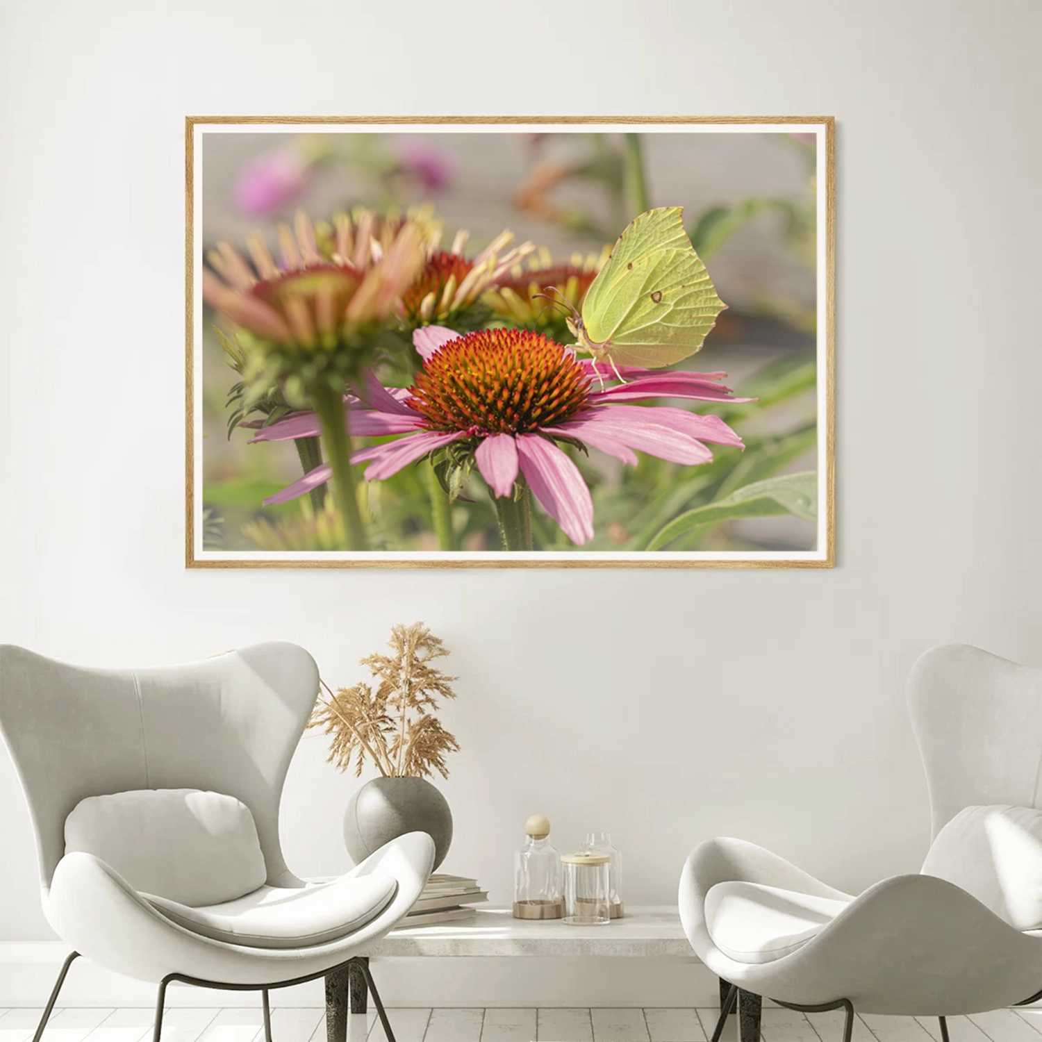 Brimstone on Pink Echinacea frame