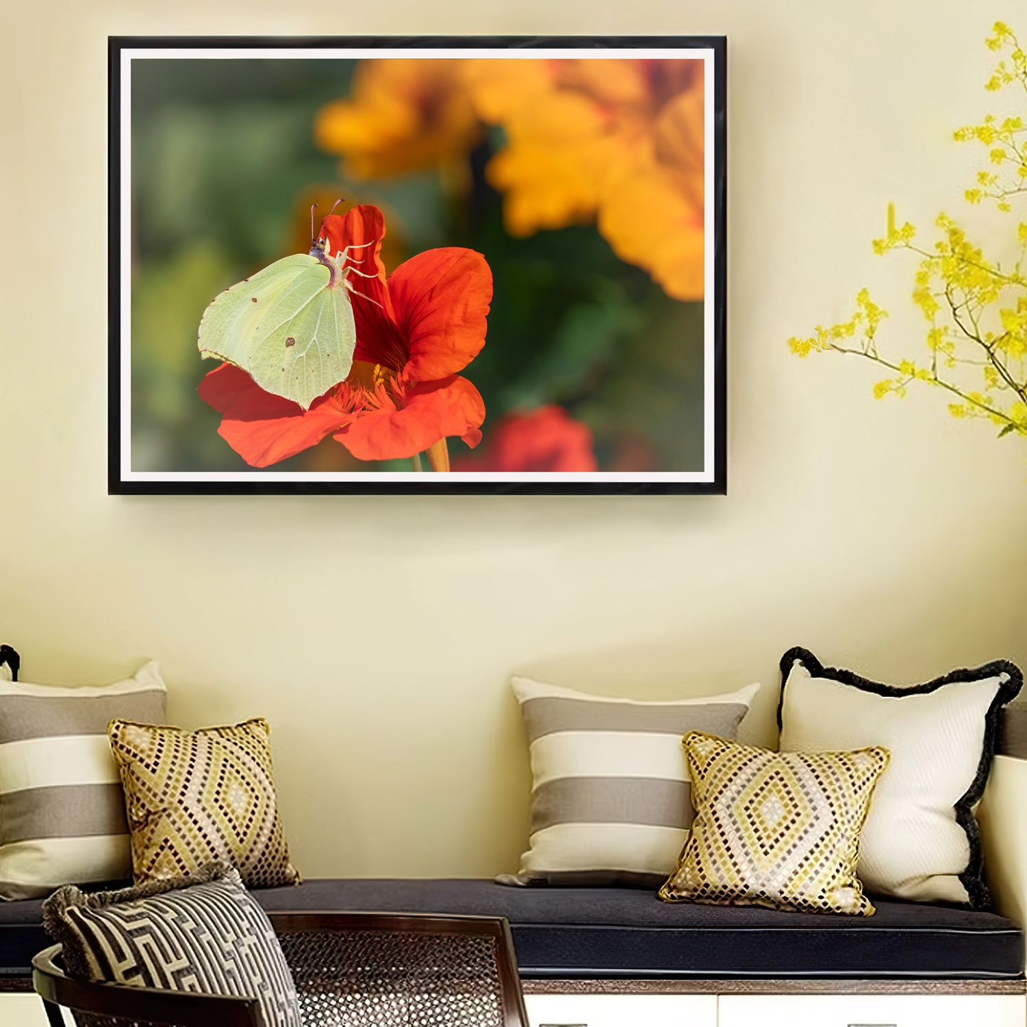Brimstone on Red nasturtium frame