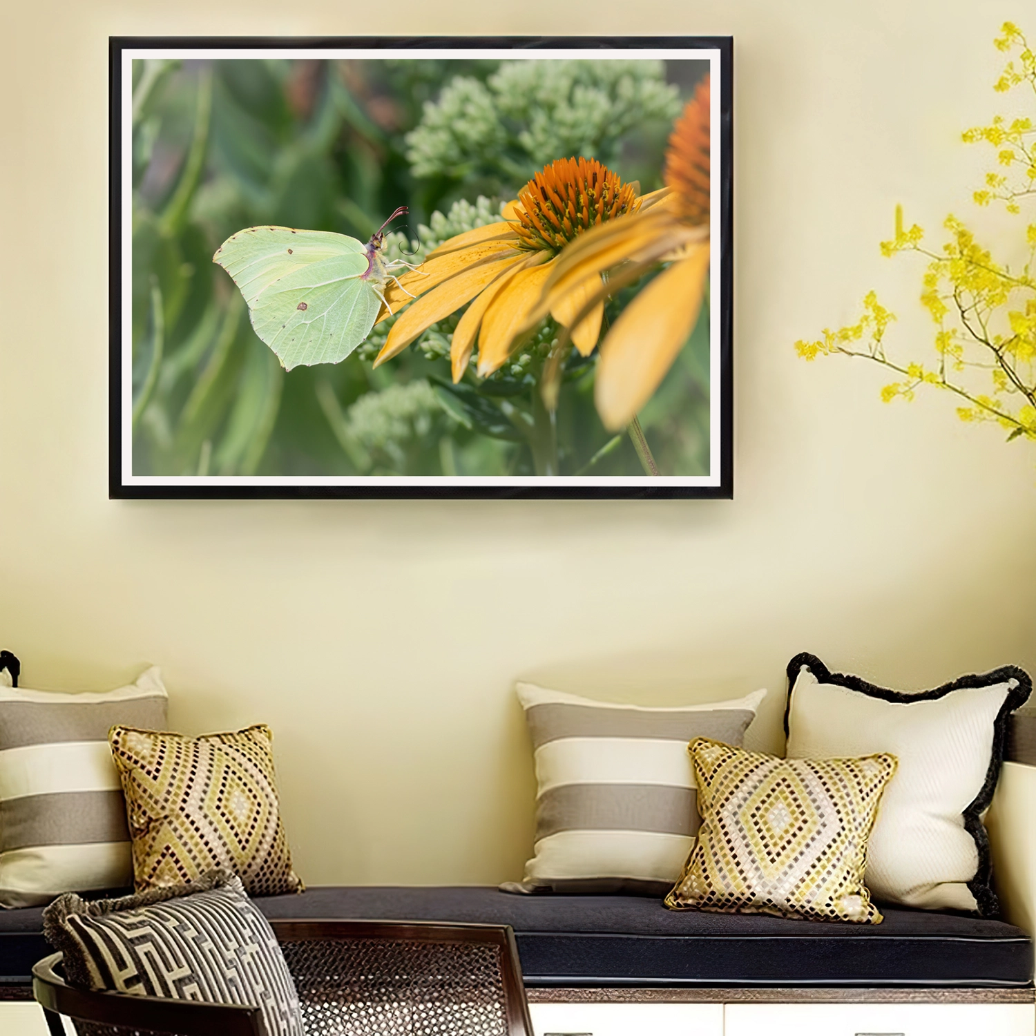Brimstone on Yellow Echinacea frame