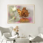 Comma Butterfly portrait wings frame
