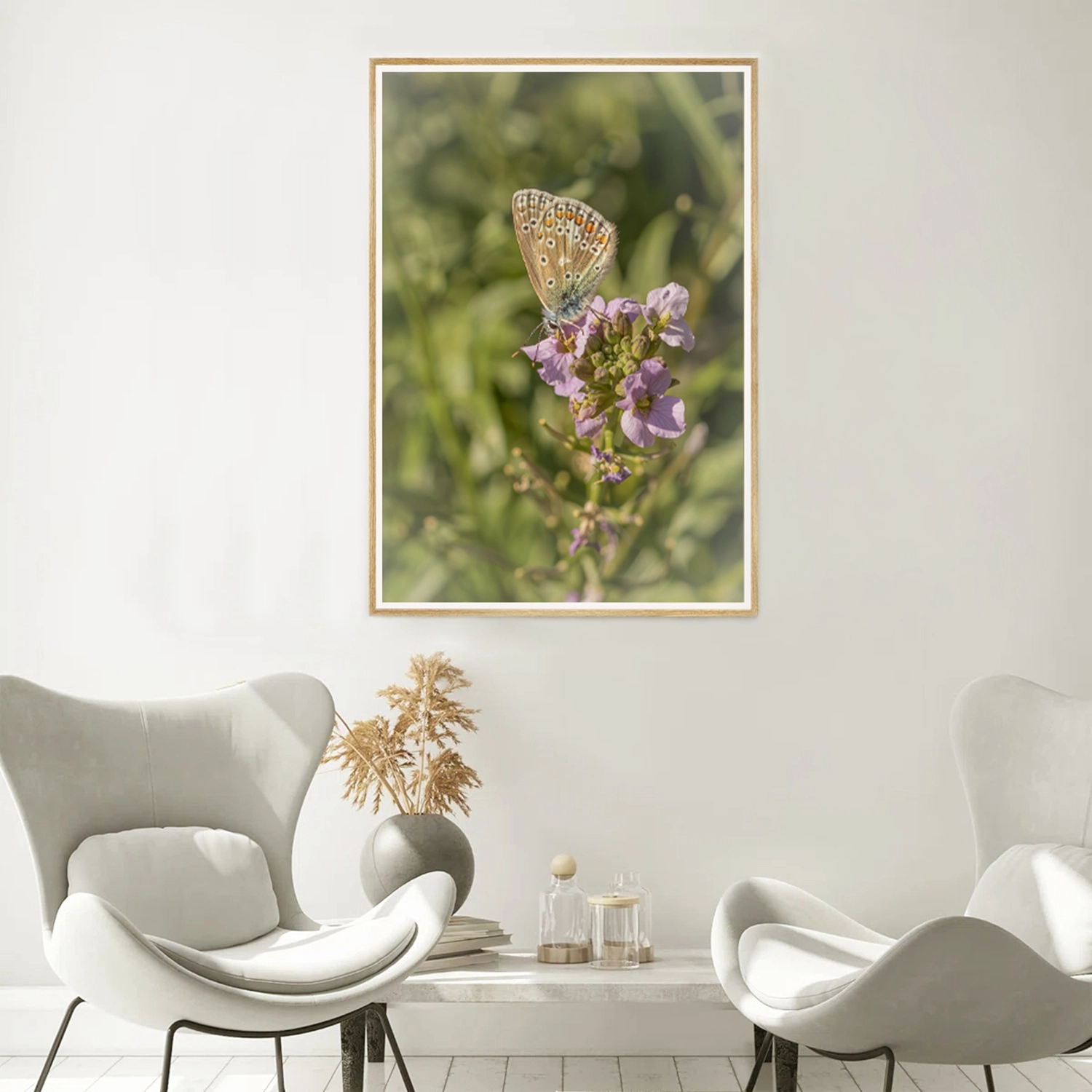Common Blue frame