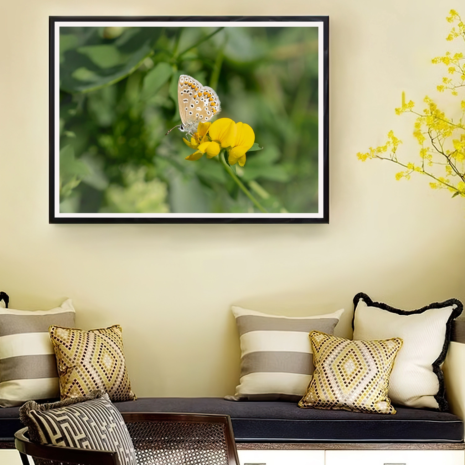 Common Blue on Birdsfoot frame