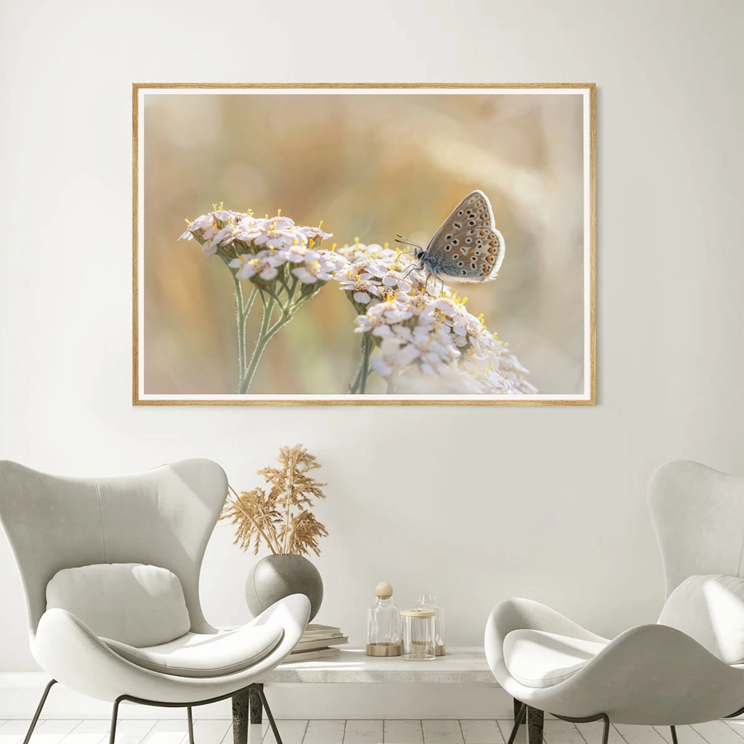 Common Blue on yarrow frame