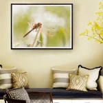 Common Darter in sunlight frame