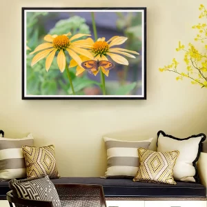 Damaged Gatekeeper on Yellow Echinacea frame
