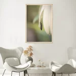 False Blister Beetle frame