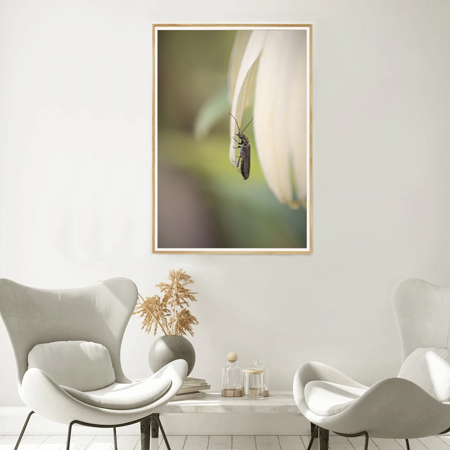False Blister Beetle frame