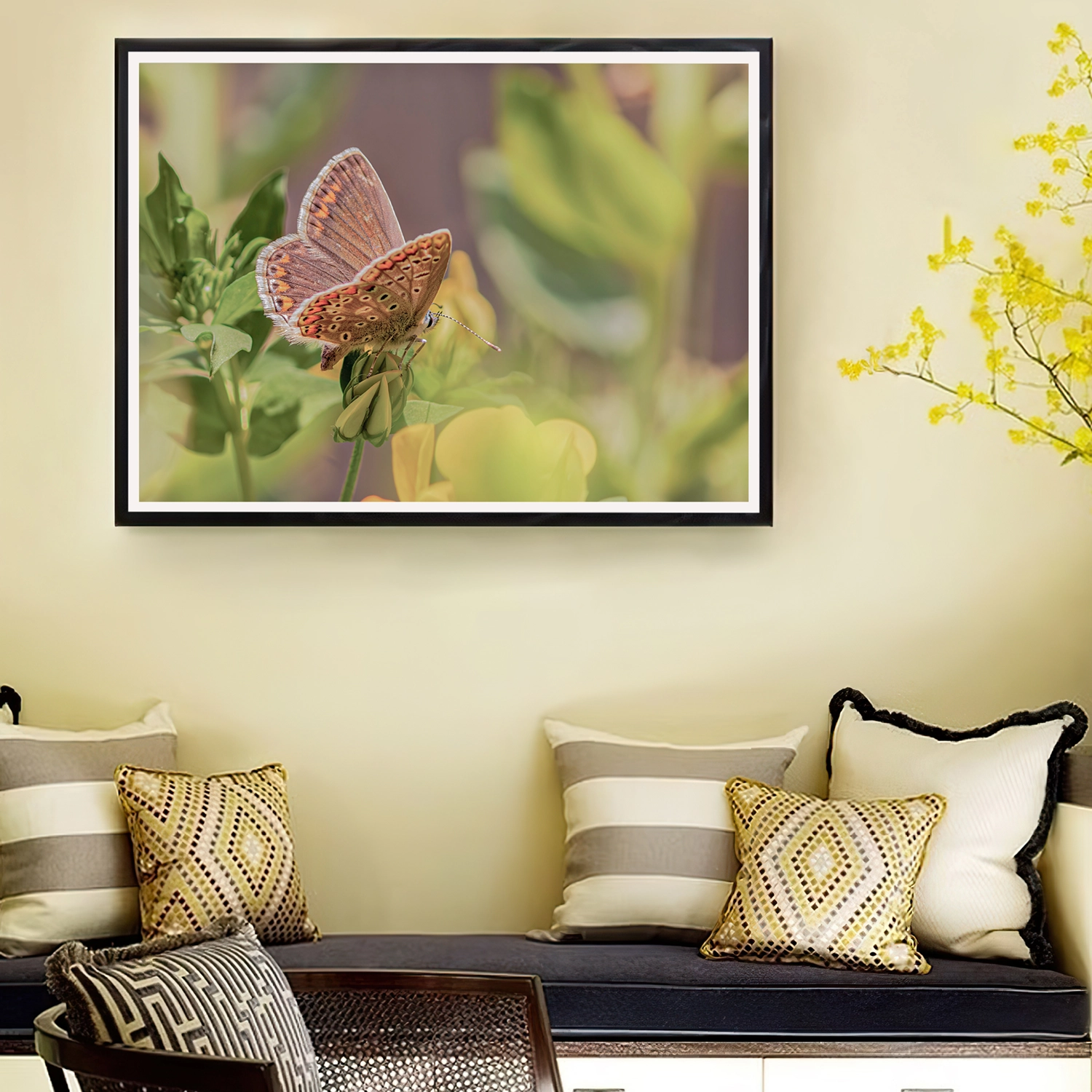 Female Common Blue on Birdsfoot frame