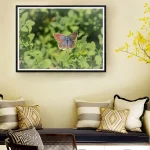 Female Common Blue wings frame