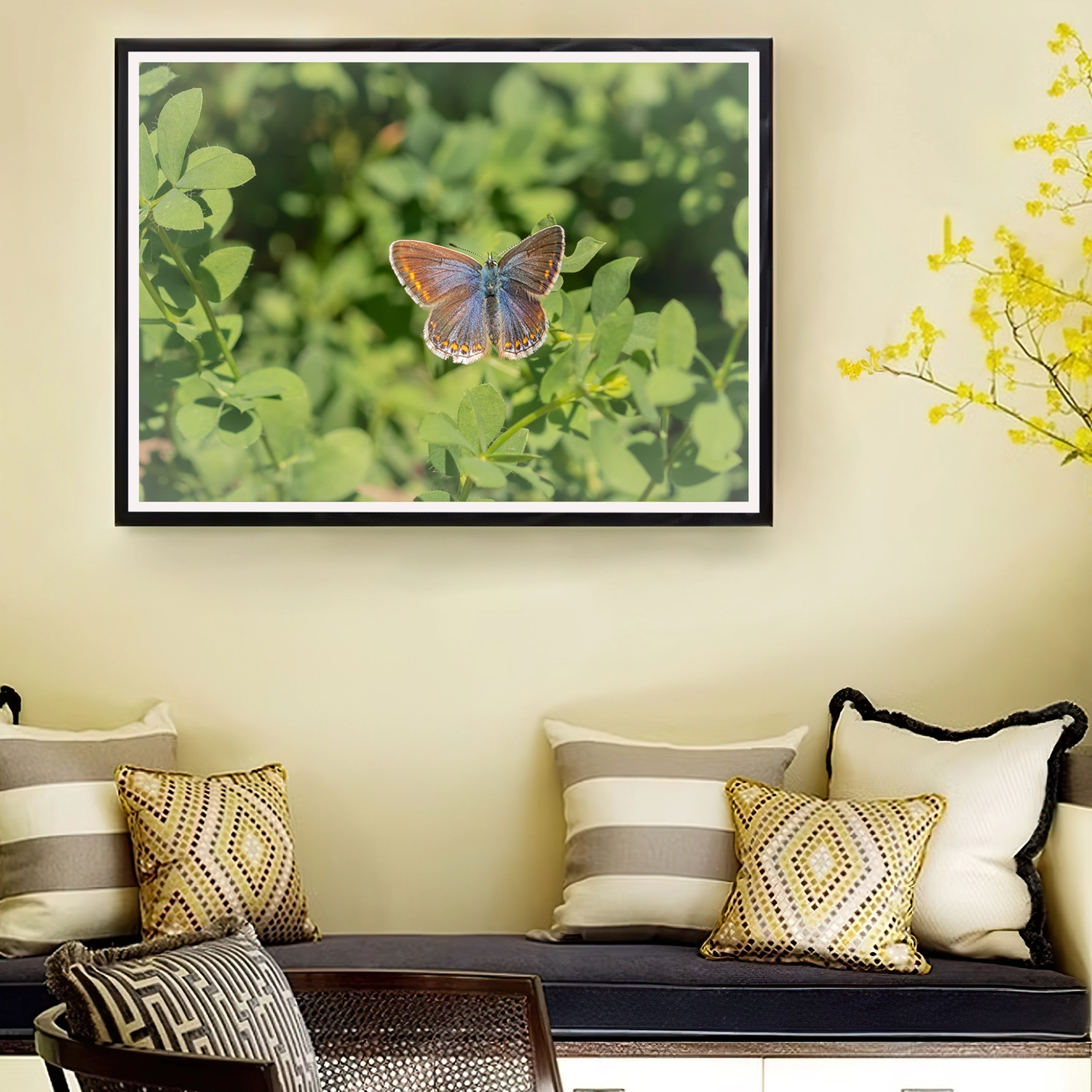 Female Common Blue wings frame