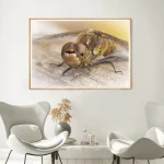 Female Common Darter portrait frame