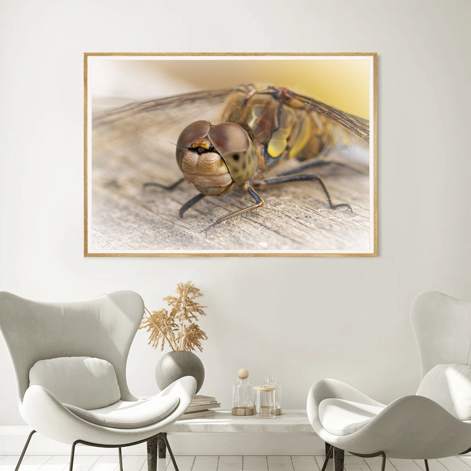 Female Common Darter portrait frame