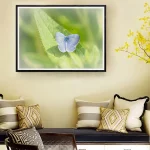 Female Holy Blue frame