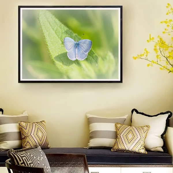 Female Holy Blue frame