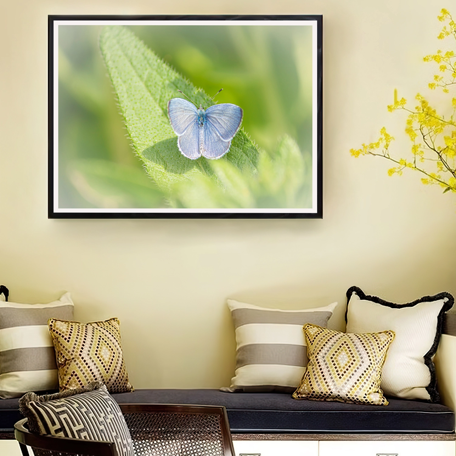 Female Holy Blue frame