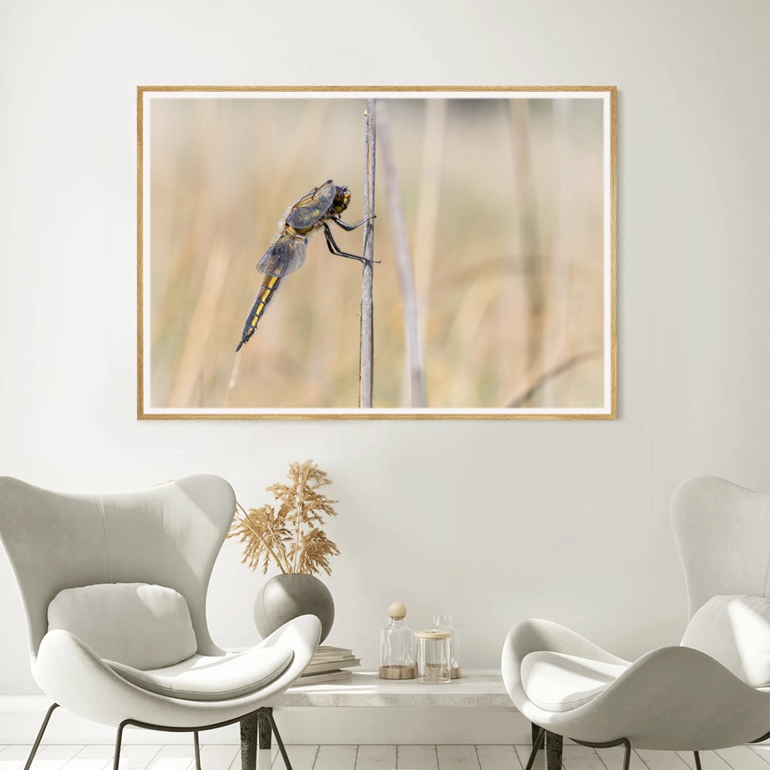 Four spotted chaser frame