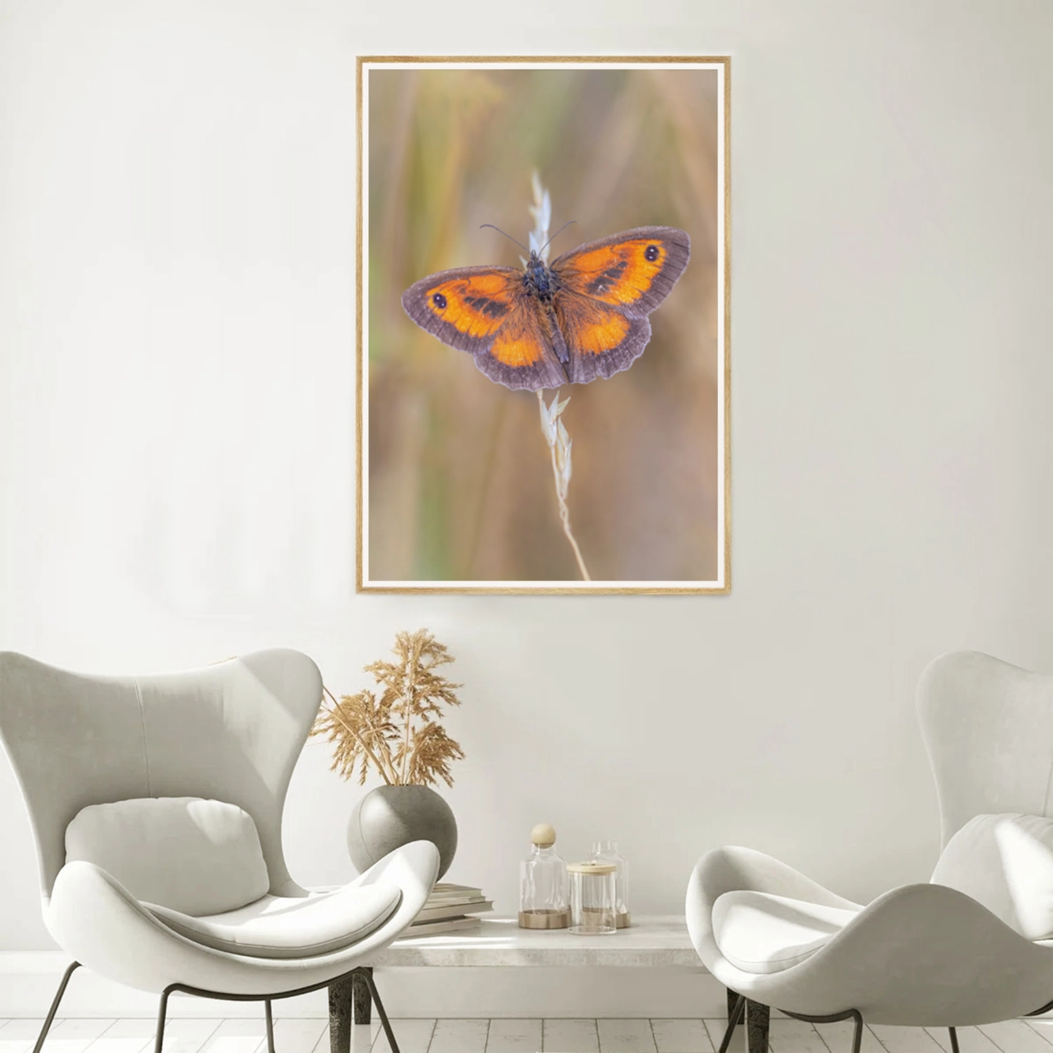 Gatekeeper Butterfly on Grass seed frame