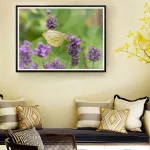 Green Veined White on Lavender 01 frame