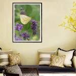 Green Veined White on Lavender frame