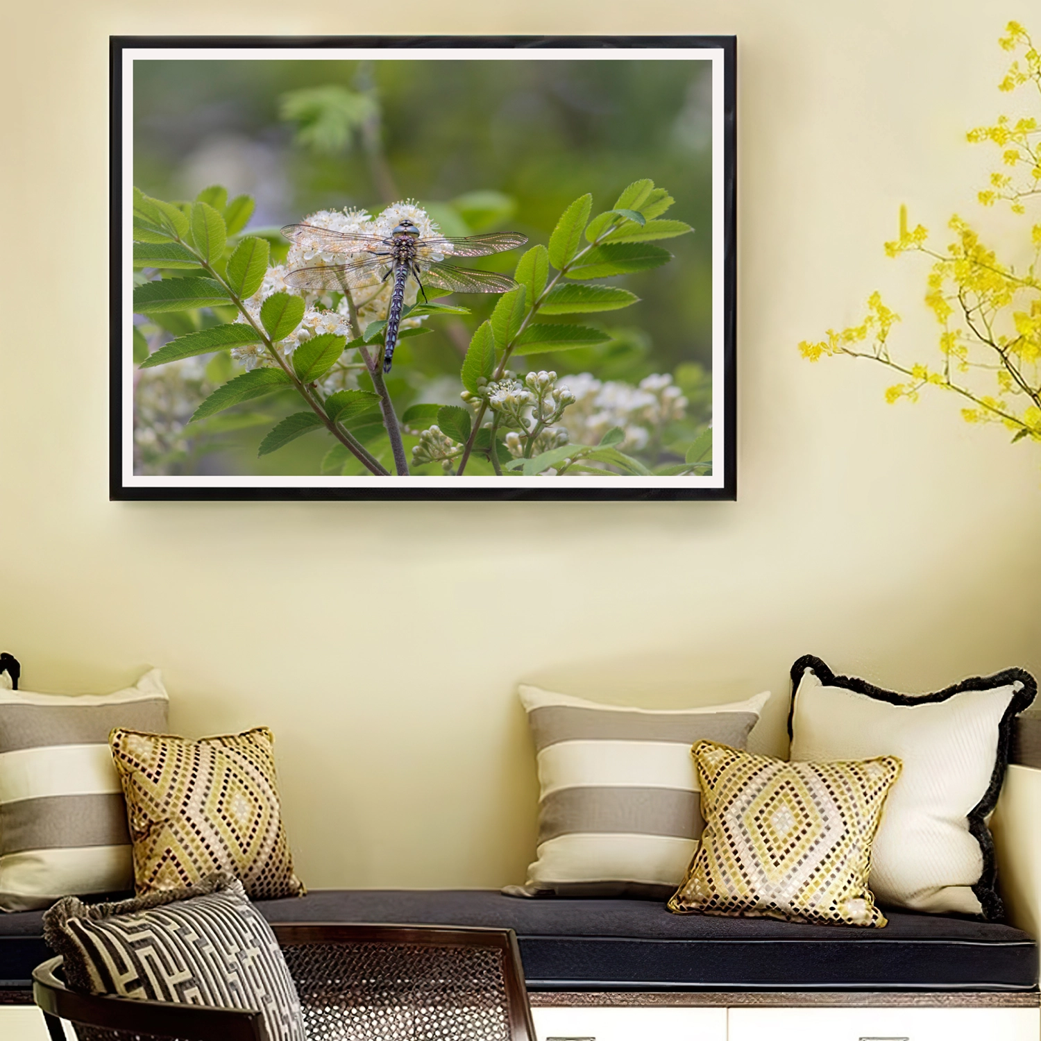 Hawker Dragonfly frame