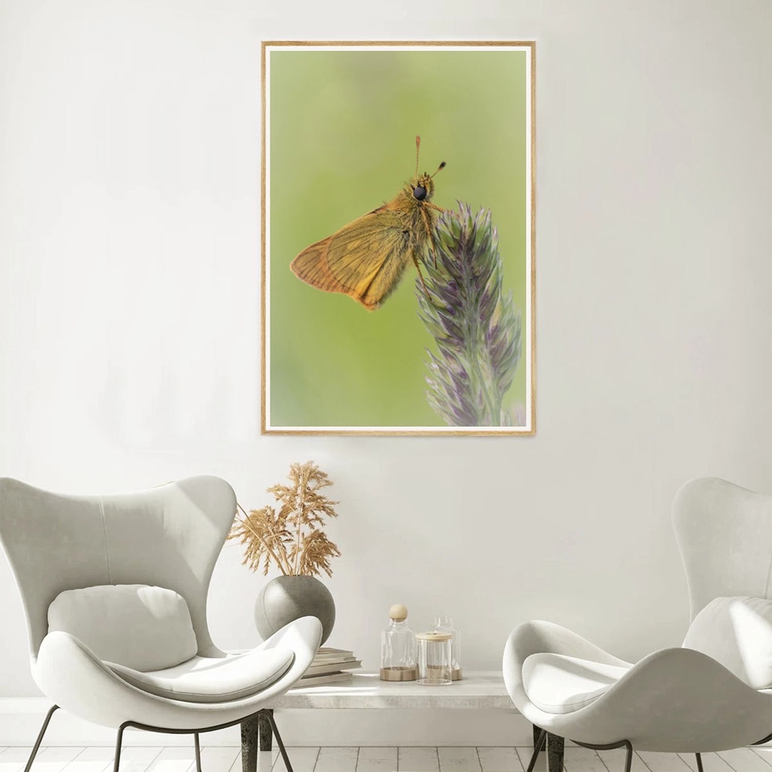 Large Skipper on Grass stem frame