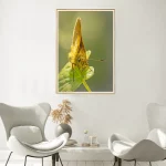 Large Skipper butterfly on broad leaf frame