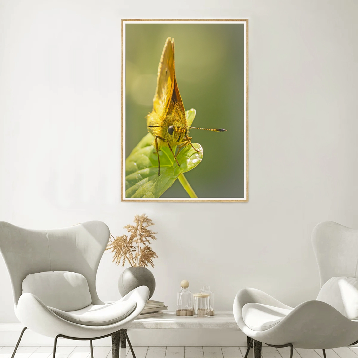 Large Skipper butterfly on broad leaf frame