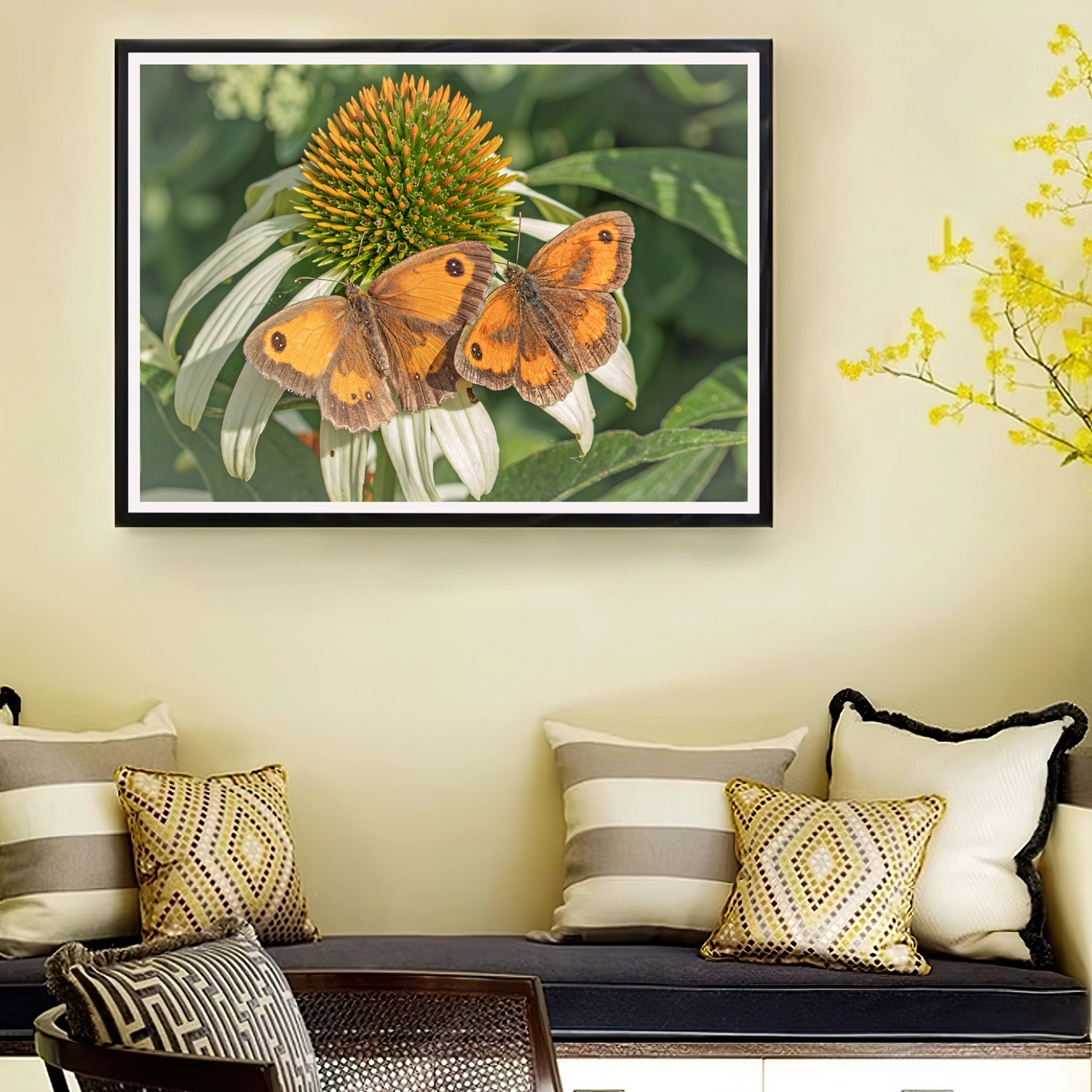 Gatekeeper Butterfly pair on White Echinacea frame