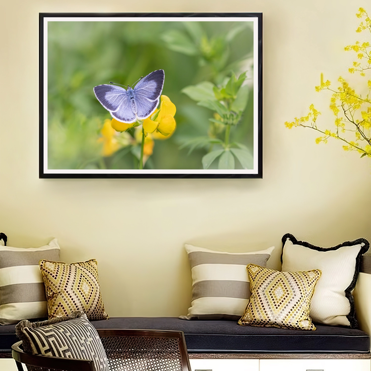 Male Holy Blue frame
