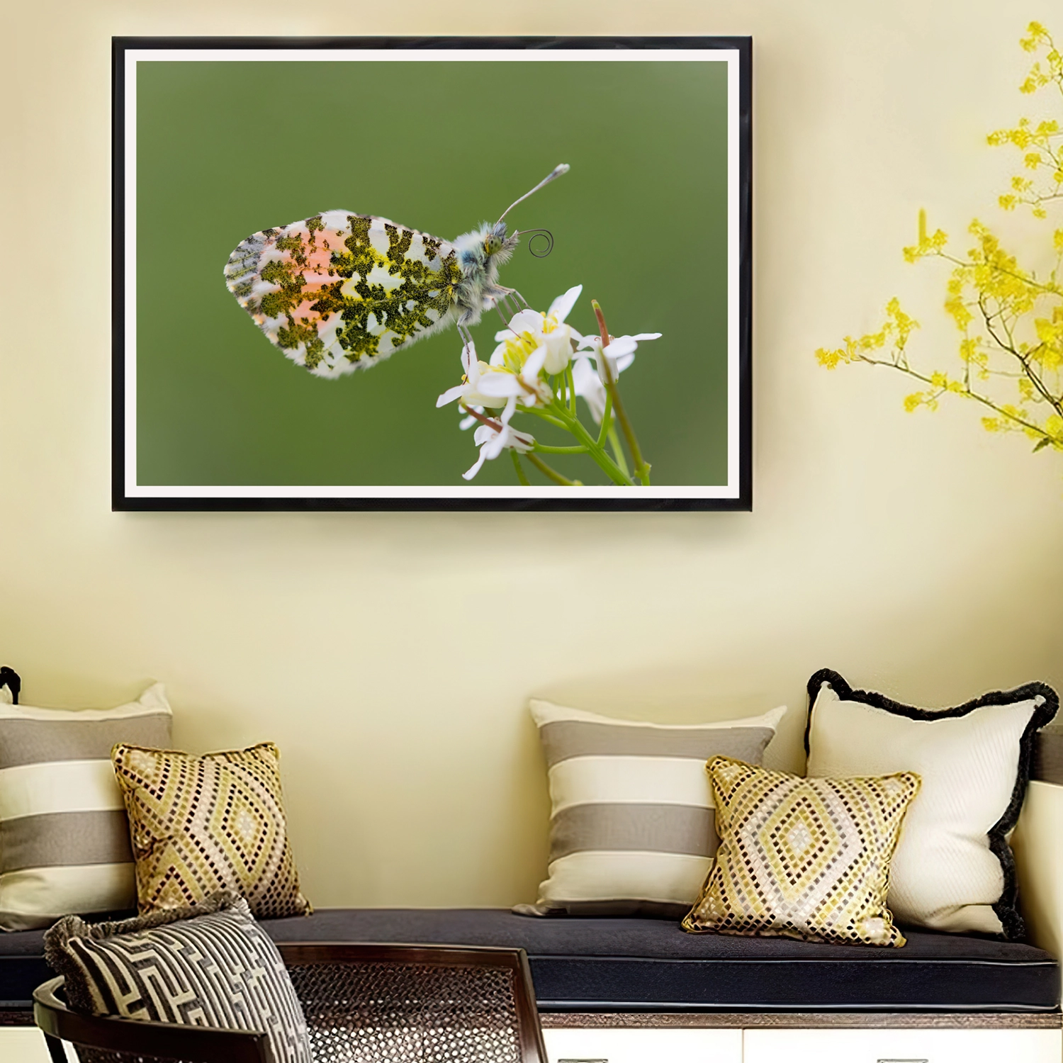Male Orange tip butterfly frame