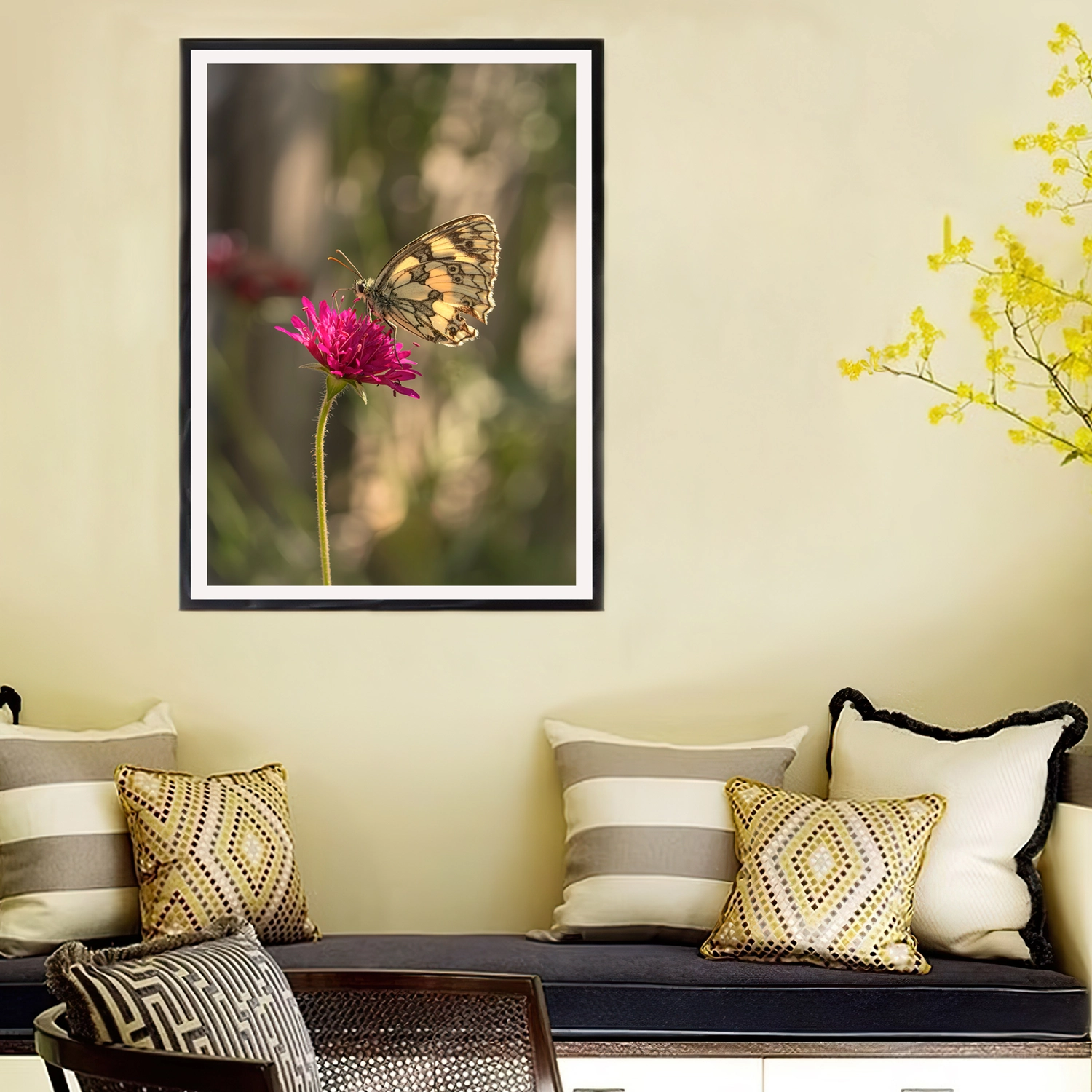 Marbled White on Scabiosa frame
