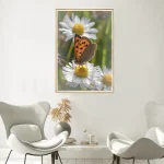 Small Copper on Daisie frame