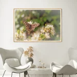 Speckled Wood on Blackthorn frame