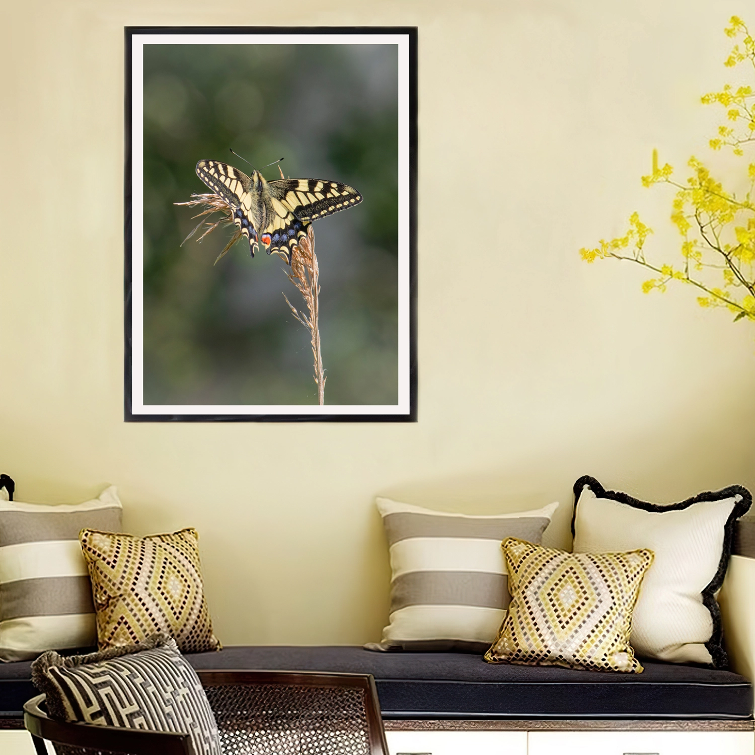 swallowtail butterfly frame
