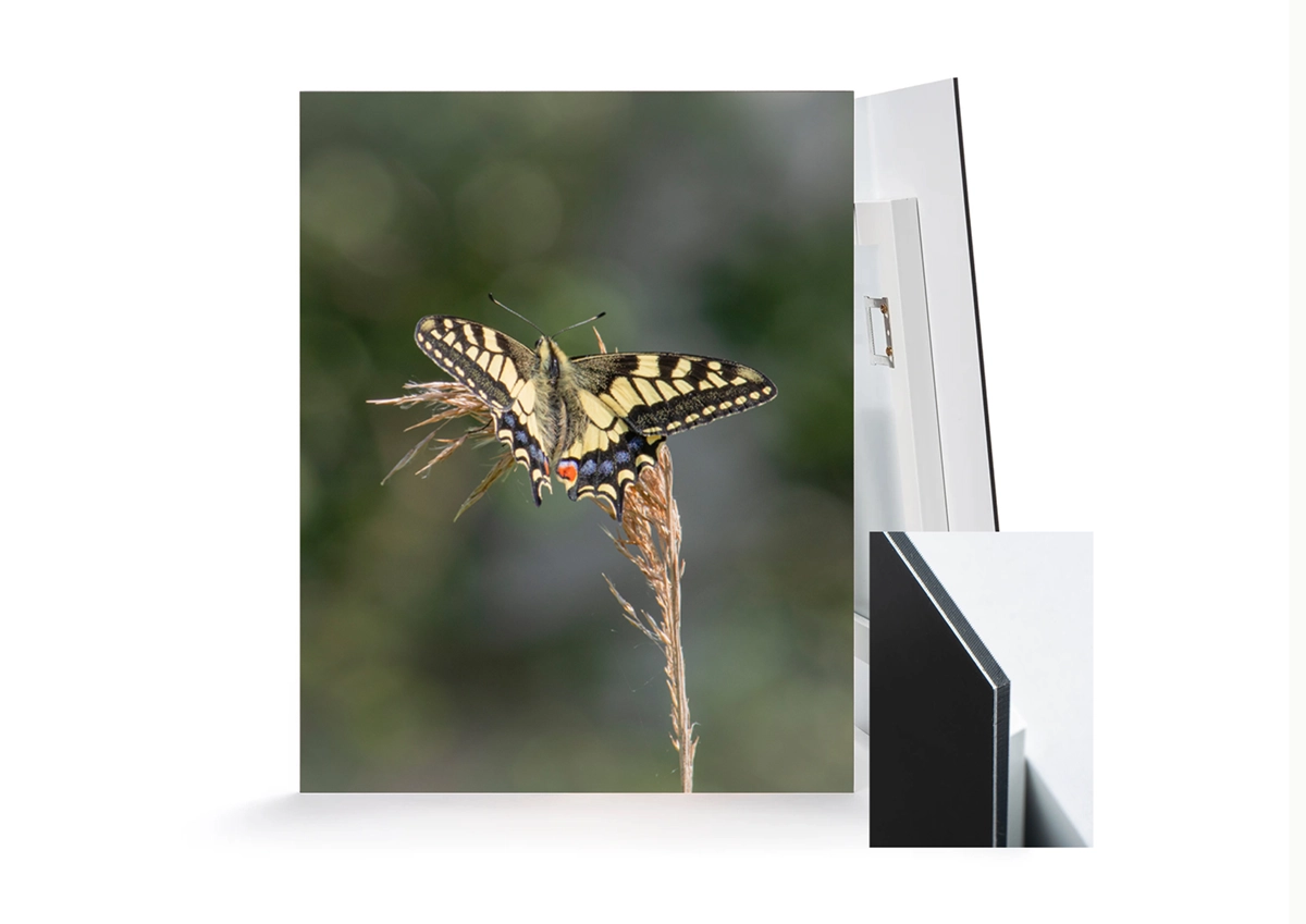 Aluminium Dibond Mounted Prints