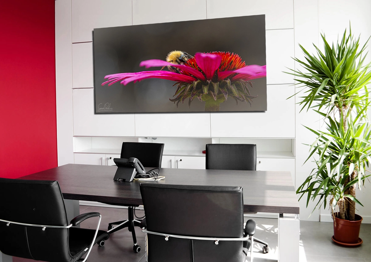 WITHIN-Office-Art