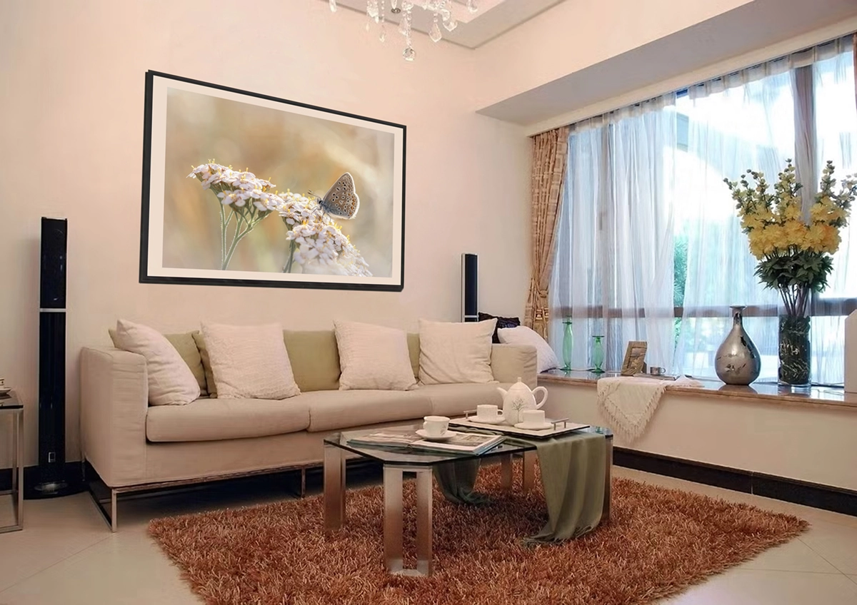 living-room
